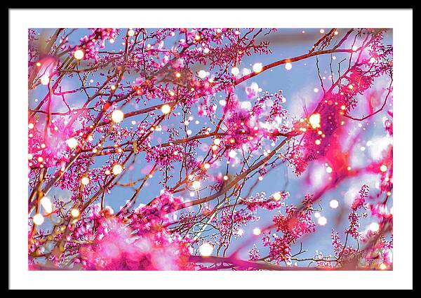 Pink Sparkling Blooms - Framed Print