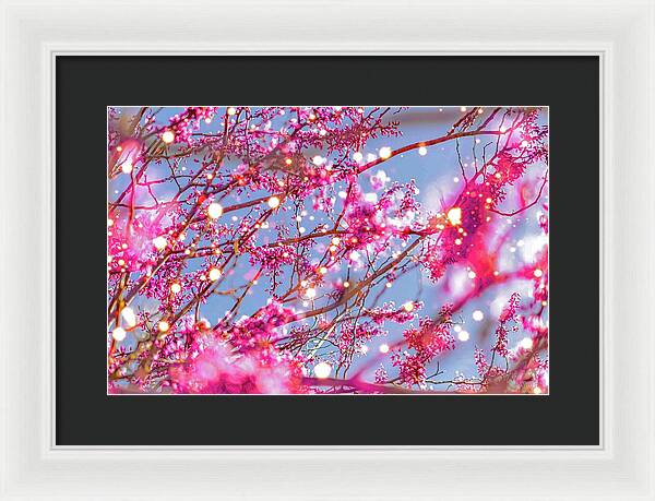 Pink Sparkling Blooms - Framed Print
