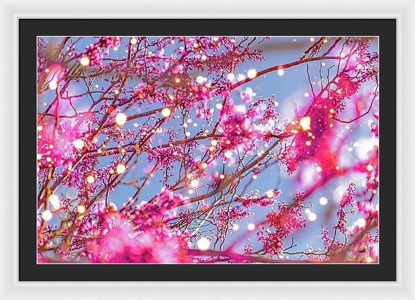 Pink Sparkling Blooms - Framed Print
