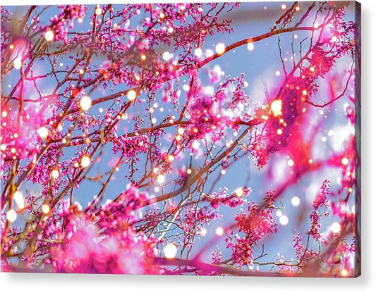 Pink Sparkling Blooms - Acrylic Print