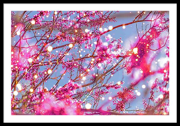 Pink Sparkling Blooms - Framed Print