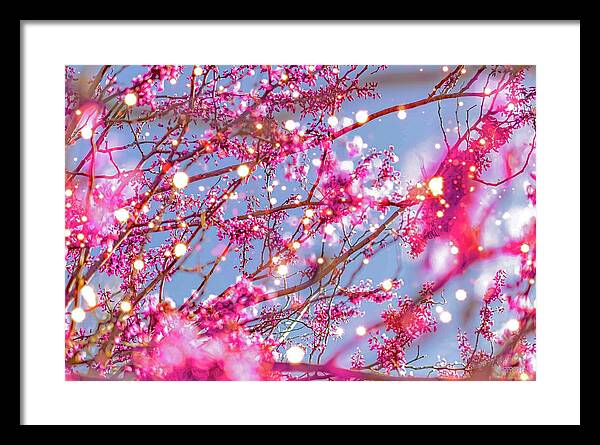 Pink Sparkling Blooms - Framed Print