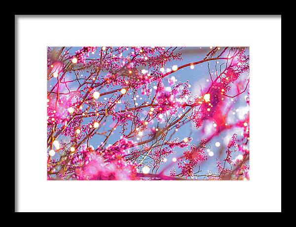 Pink Sparkling Blooms - Framed Print