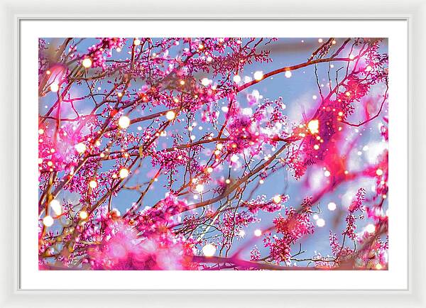 Pink Sparkling Blooms - Framed Print