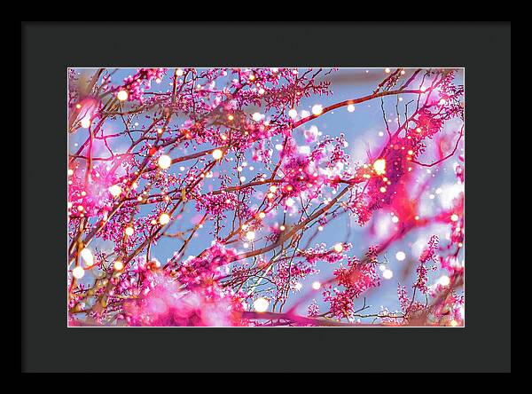 Pink Sparkling Blooms - Framed Print