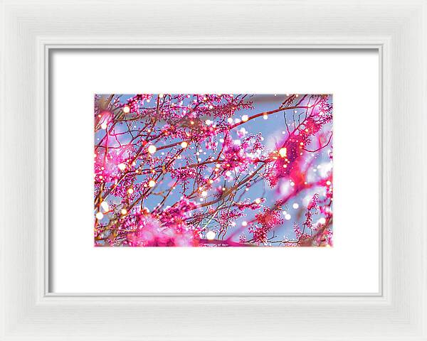 Pink Sparkling Blooms - Framed Print