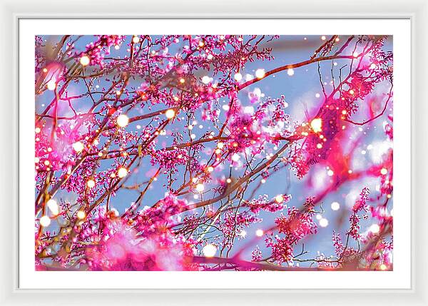 Pink Sparkling Blooms - Framed Print