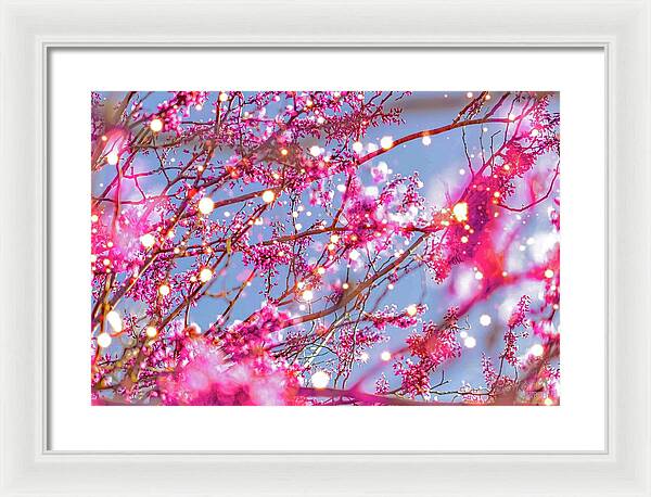 Pink Sparkling Blooms - Framed Print