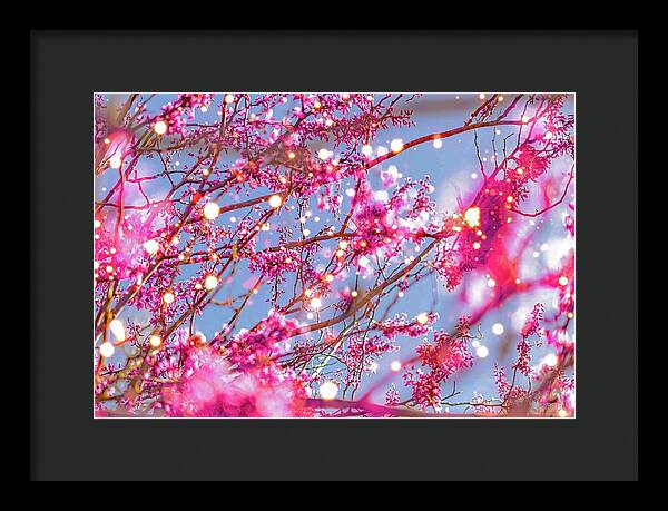 Pink Sparkling Blooms - Framed Print