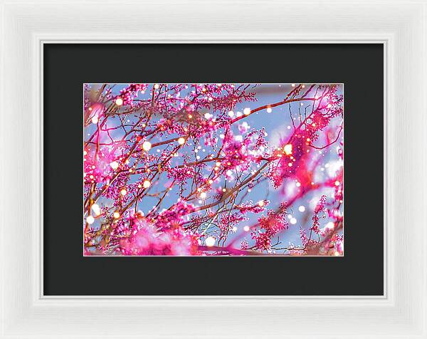 Pink Sparkling Blooms - Framed Print