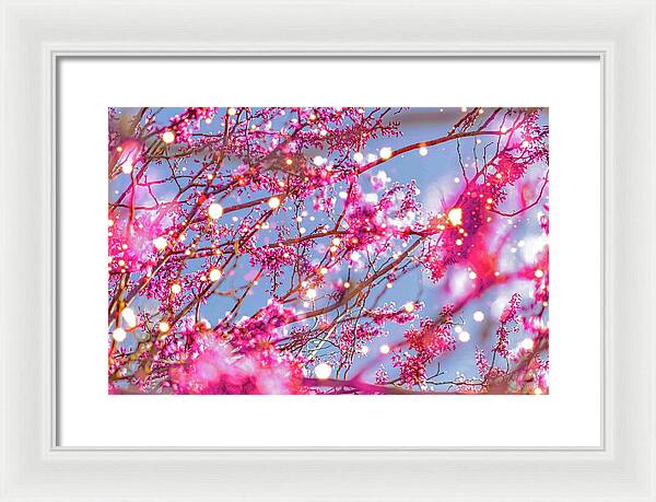 Pink Sparkling Blooms - Framed Print