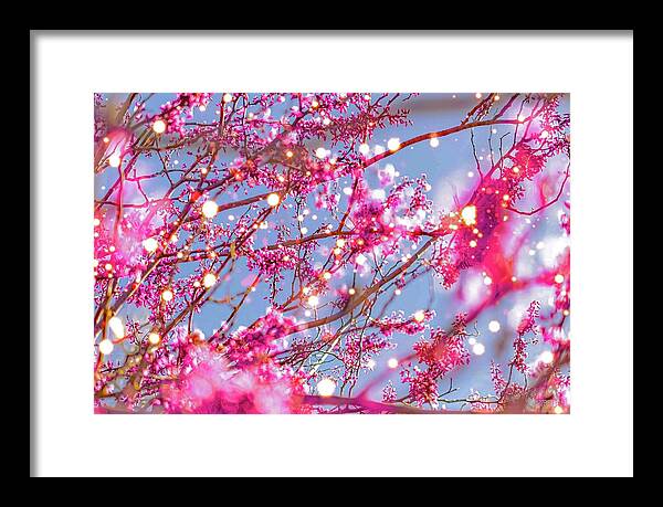 Pink Sparkling Blooms - Framed Print