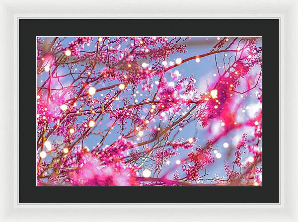 Pink Sparkling Blooms - Framed Print