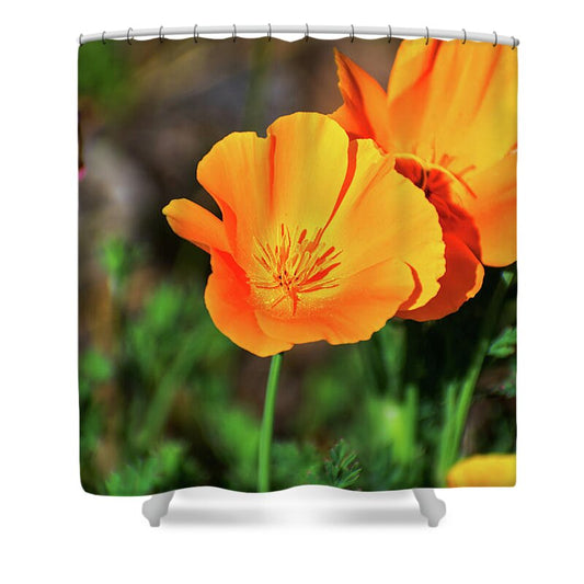 Poppy Flower Hugs - Shower Curtain