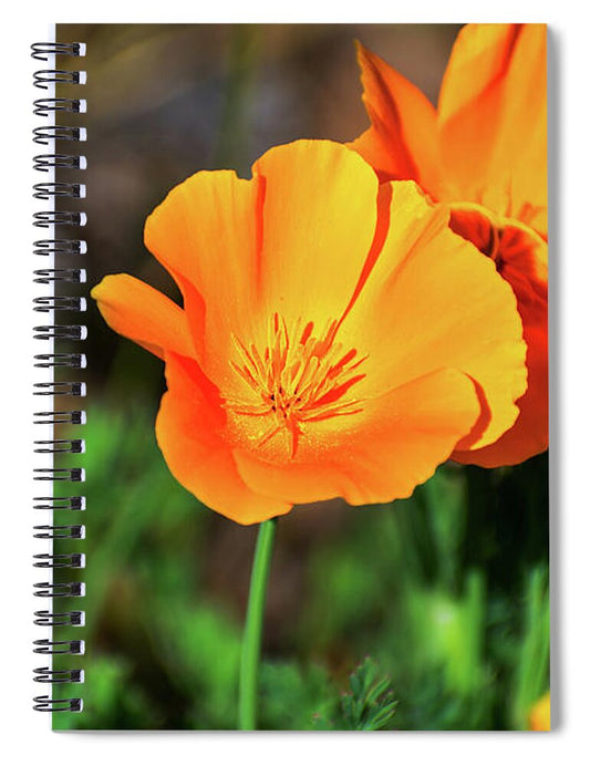 Poppy Flower Hugs - Spiral Notebook