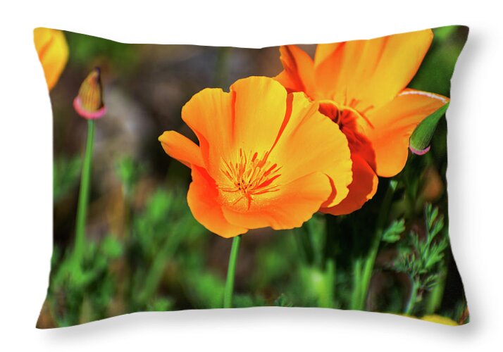 Poppy Flower Hugs - Throw Pillow