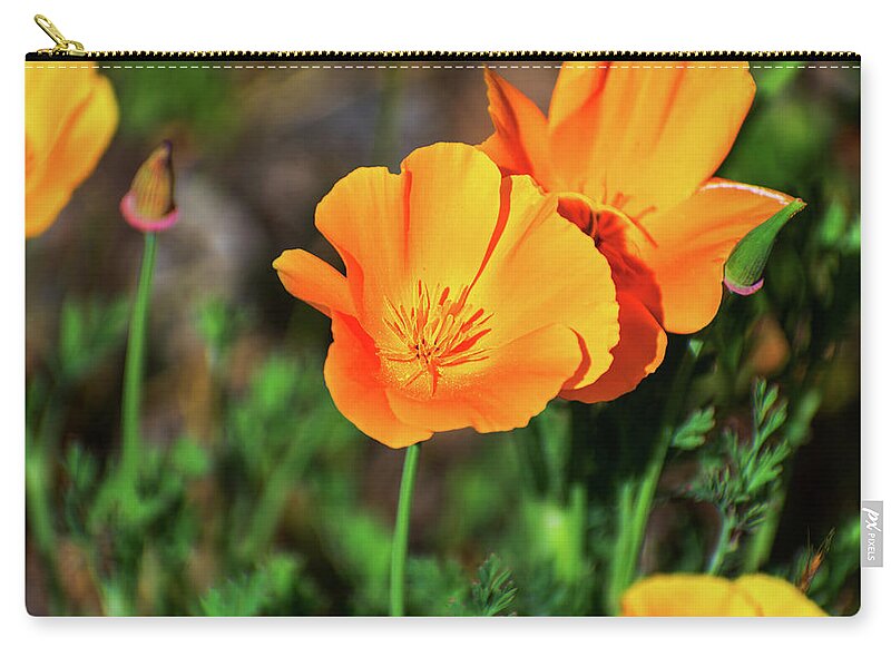 Poppy Flower Hugs - Zip Pouch