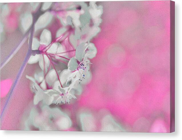 Pretty Pink Backdrop of Flowers  - Canvas Print