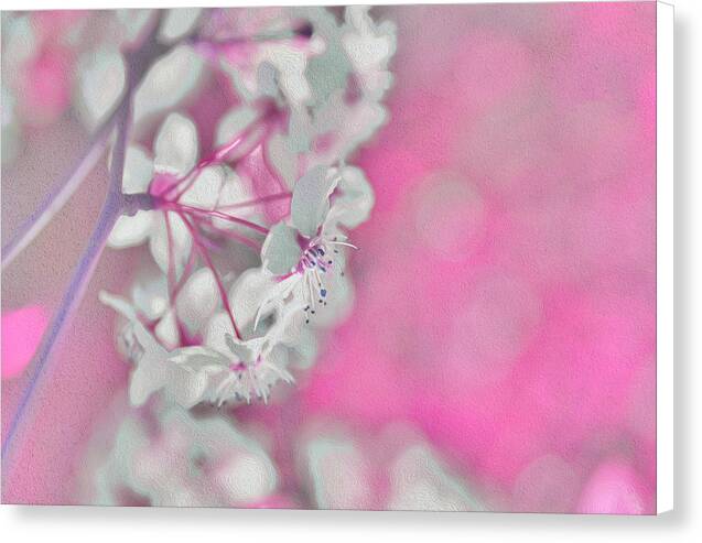 Pretty Pink Backdrop of Flowers  - Canvas Print