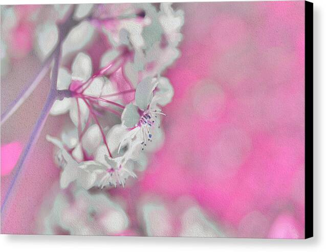 Pretty Pink Backdrop of Flowers  - Canvas Print