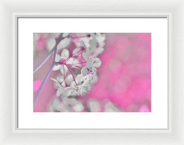 Pretty Pink Backdrop of Flowers  - Framed Print