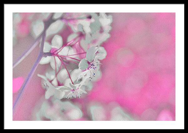 Pretty Pink Backdrop of Flowers  - Framed Print