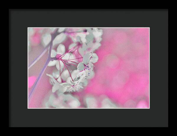 Pretty Pink Backdrop of Flowers  - Framed Print