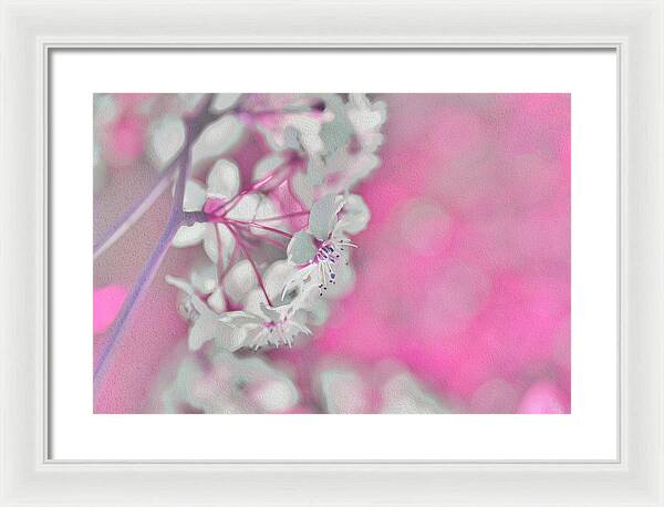 Pretty Pink Backdrop of Flowers  - Framed Print