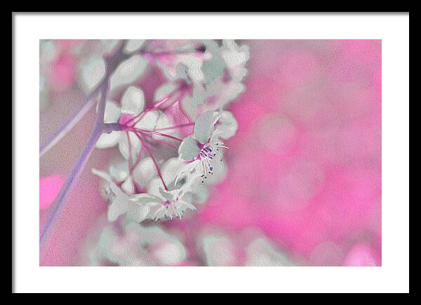 Pretty Pink Backdrop of Flowers  - Framed Print