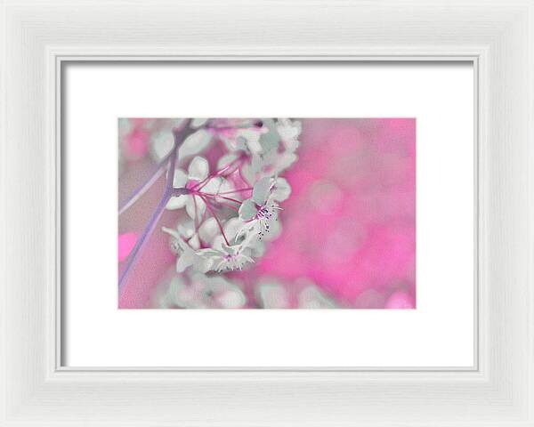 Pretty Pink Backdrop of Flowers  - Framed Print