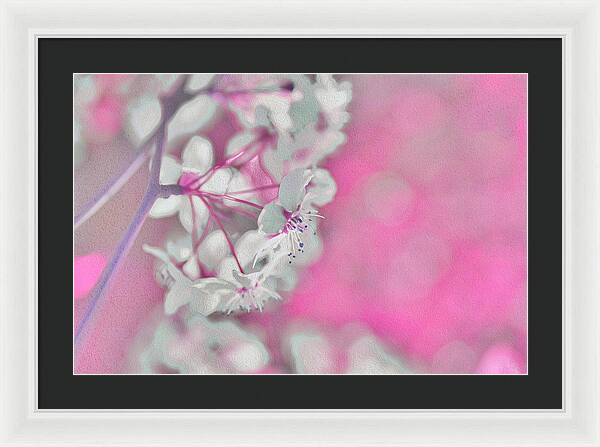 Pretty Pink Backdrop of Flowers  - Framed Print