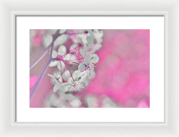 Pretty Pink Backdrop of Flowers  - Framed Print