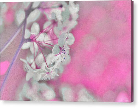 Pretty Pink Backdrop of Flowers  - Acrylic Print