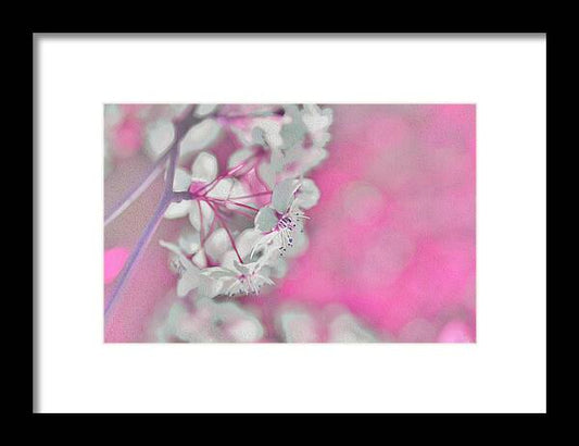 Pretty Pink Backdrop of Flowers  - Framed Print