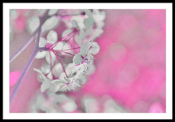 Pretty Pink Backdrop of Flowers  - Framed Print