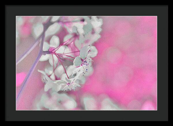 Pretty Pink Backdrop of Flowers  - Framed Print