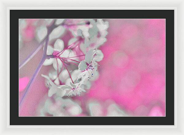 Pretty Pink Backdrop of Flowers  - Framed Print