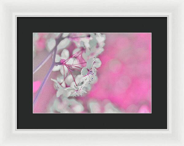 Pretty Pink Backdrop of Flowers  - Framed Print