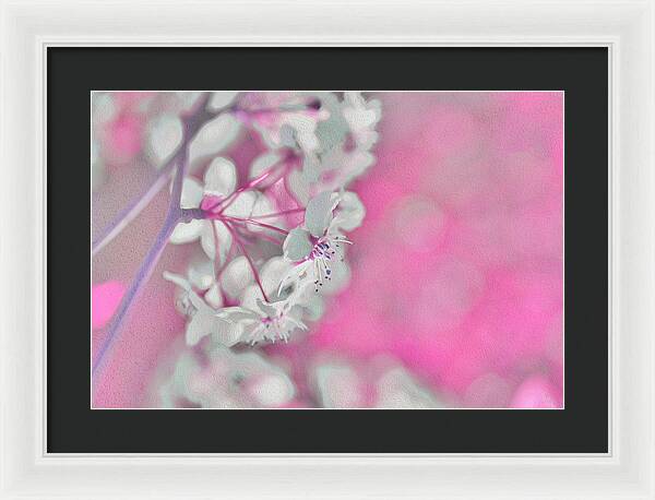Pretty Pink Backdrop of Flowers  - Framed Print