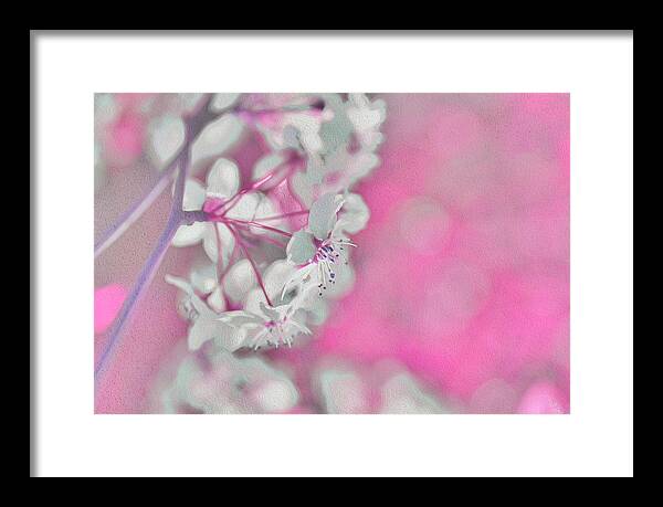 Pretty Pink Backdrop of Flowers  - Framed Print