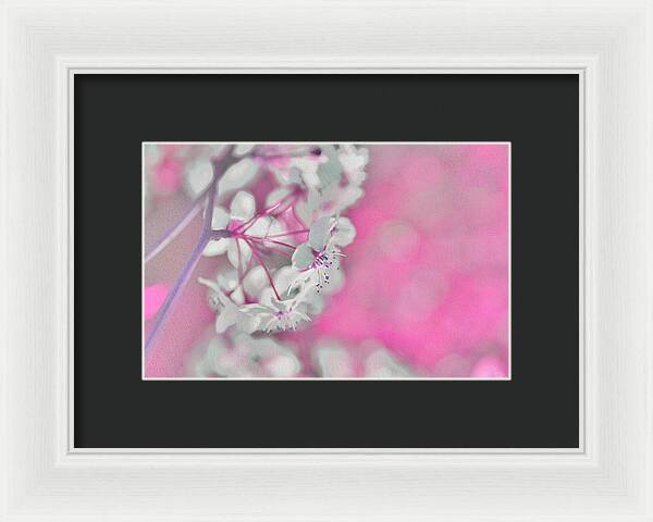Pretty Pink Backdrop of Flowers  - Framed Print