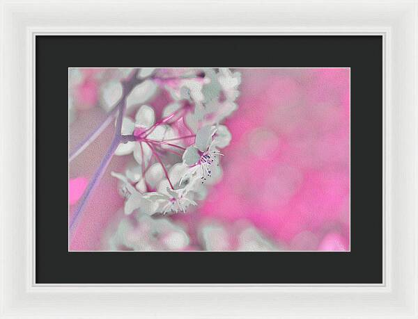 Pretty Pink Backdrop of Flowers  - Framed Print