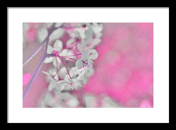 Pretty Pink Backdrop of Flowers  - Framed Print