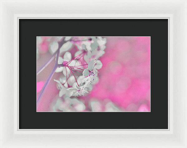 Pretty Pink Backdrop of Flowers  - Framed Print