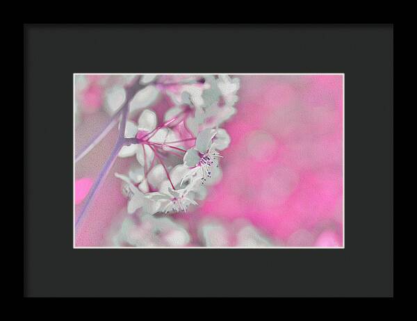 Pretty Pink Backdrop of Flowers  - Framed Print