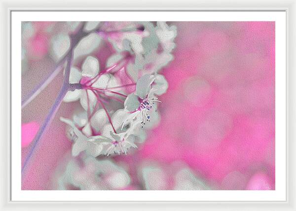 Pretty Pink Backdrop of Flowers  - Framed Print