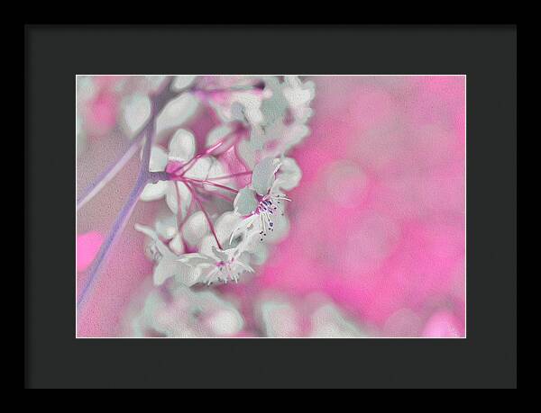 Pretty Pink Backdrop of Flowers  - Framed Print
