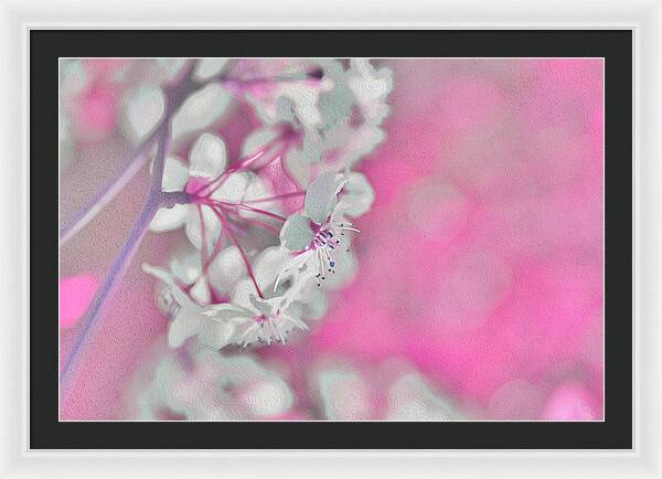 Pretty Pink Backdrop of Flowers  - Framed Print