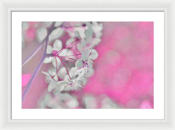Pretty Pink Backdrop of Flowers  - Framed Print