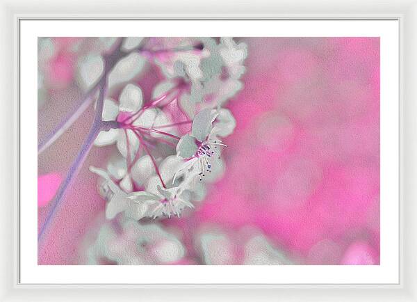 Pretty Pink Backdrop of Flowers  - Framed Print